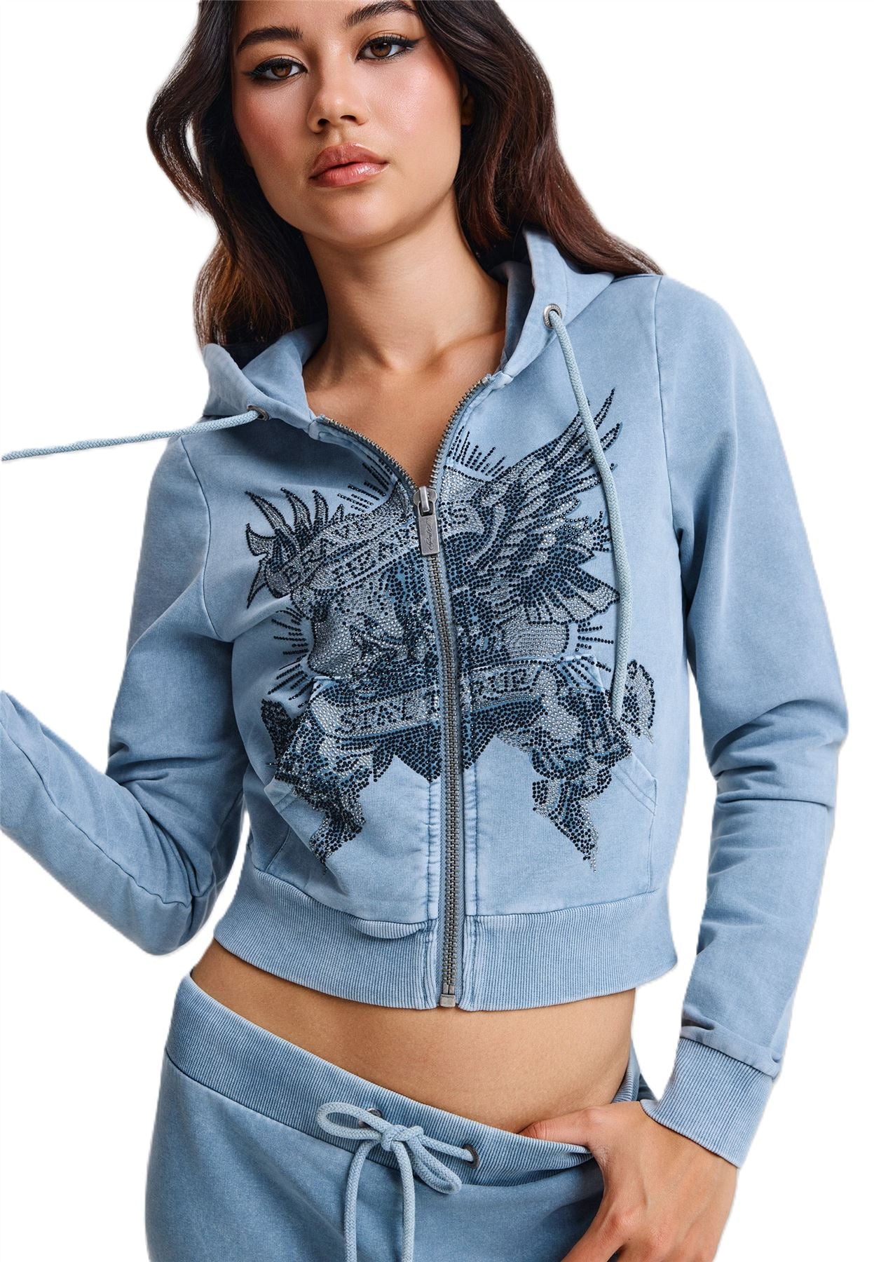 Ed Hardy Stay True Fitted Cropped Zip Sweats à Capuche Bleus Pour Femmes