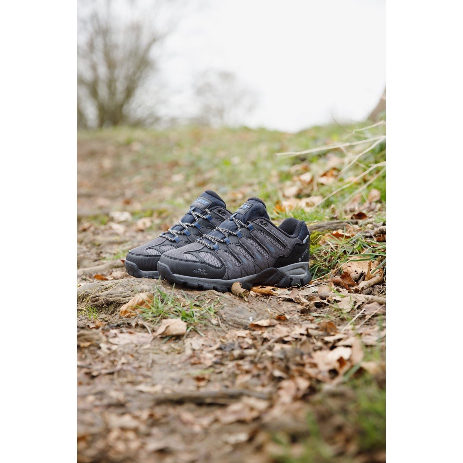 Hi-Tec Corzo Low Bottes De Randonnée Pour Homme En Daim Synthétique Gris Charbon/Bleu Nautique
